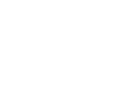 DuniaTech Consulting